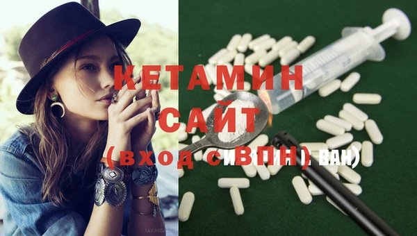 индика Елизово